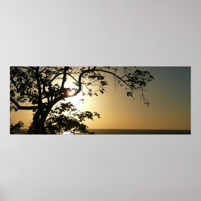 Póster Atardecer a través de árboles II Fotografía tropic (Frente)