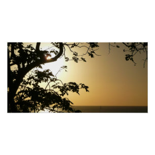 Póster Atardecer a través de árboles II Fotografía tropic