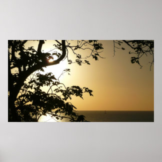 Póster Atardecer a través de árboles II Fotografía tropic