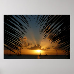 Póster Atardecer a través de frondas de palma Paisaje mar