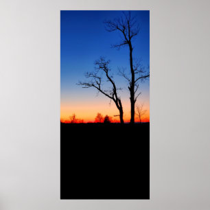 Póster Atardecer a través de los árboles