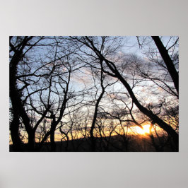 Póster Atardecer a través de ramas