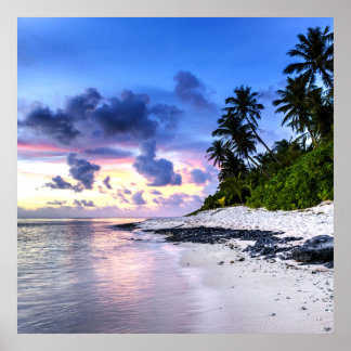 Póster Atardecer con palmeras y playa rocosa