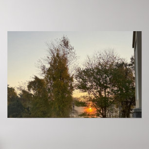 Póster Atardecer con Poster de árboles