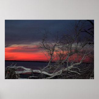 Póster Atardecer De Árbol Muerto, S Cyr