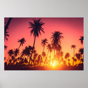Póster Atardecer de árboles tropicales