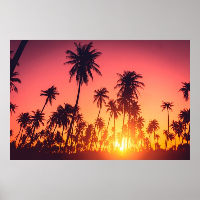 Póster Atardecer de árboles tropicales (Frente)