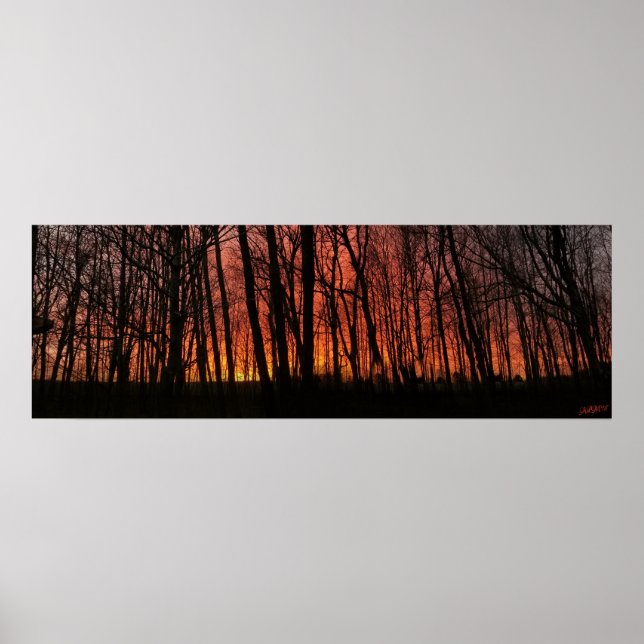 Póster Atardecer de "Fuego en el Cielo" (Frente)