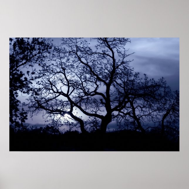 Póster Atardecer de medianoche (Frente)