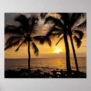 Póster Atardecer de palmera