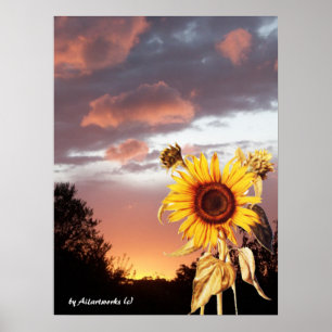 Póster ATARDECER DE VERANO CON Girasoles Y ROSA