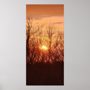 Póster Atardecer detrás de los árboles