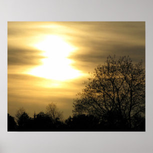 Póster Atardecer dorado con árboles de silueta