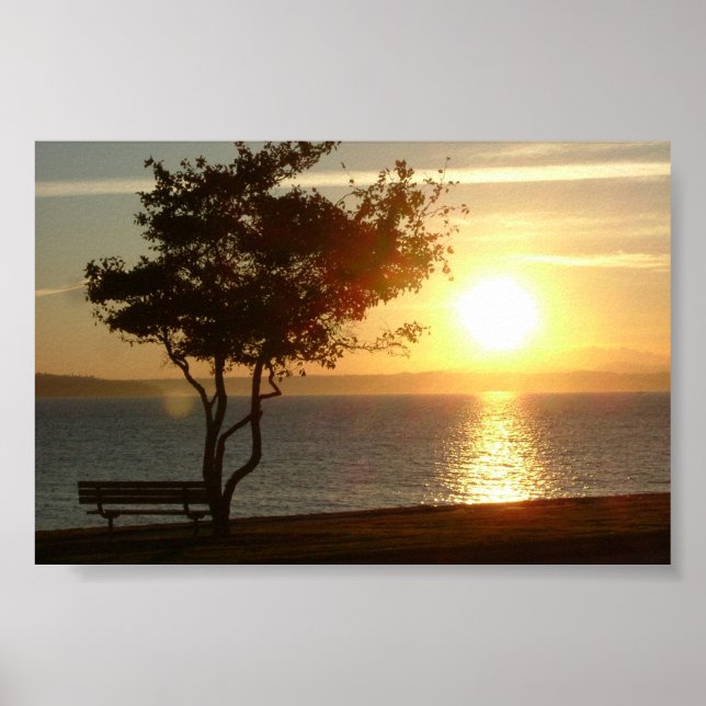 Póster Atardecer en Beach Drive (Frente)