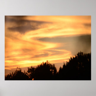 Póster Atardecer en el Poster forestal