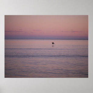 Póster Atardecer en la isla de Sullivan