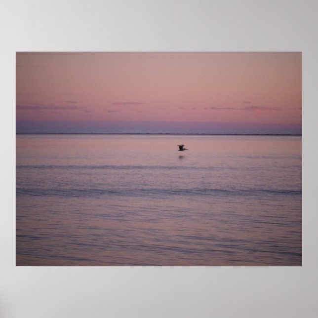 Póster Atardecer en la isla de Sullivan (Frente)