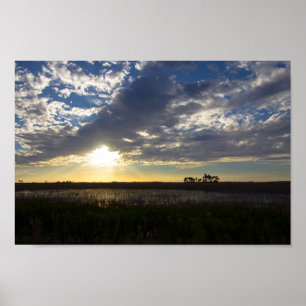 Póster Atardecer en la reserva de Kissimmee Prairie, Flor