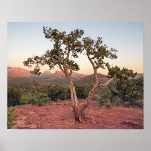 Póster Atardecer en Lovers Knoll en Sedona