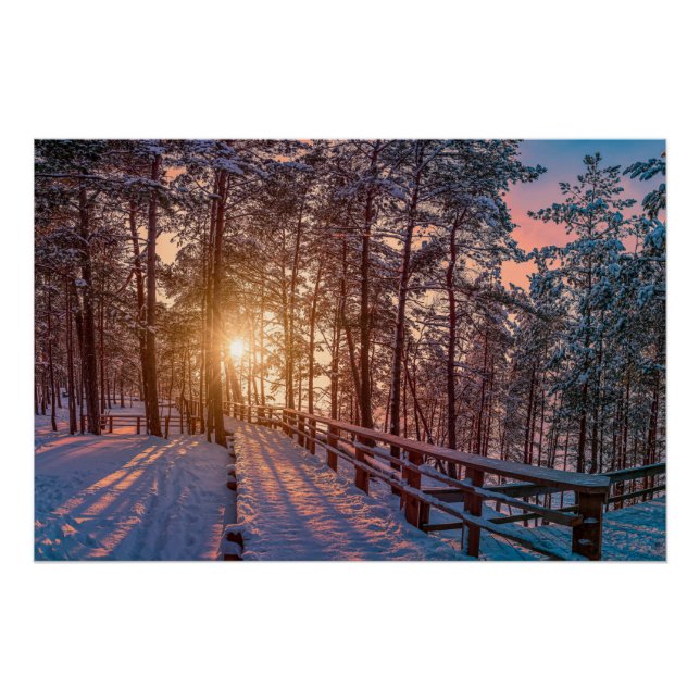 Póster Atardecer en un bosque de pinos nevado con rayos s (Anverso)