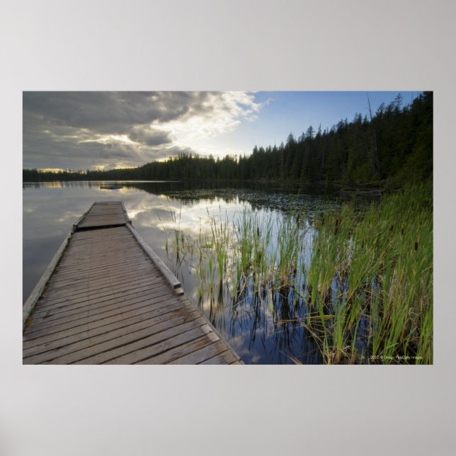 Póster Atardecer En Un Pequeño Lago (Frente)