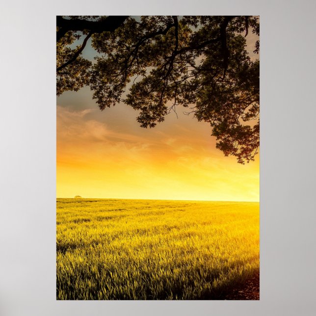 Póster Atardecer en un Poster paisajista rural (Frente)