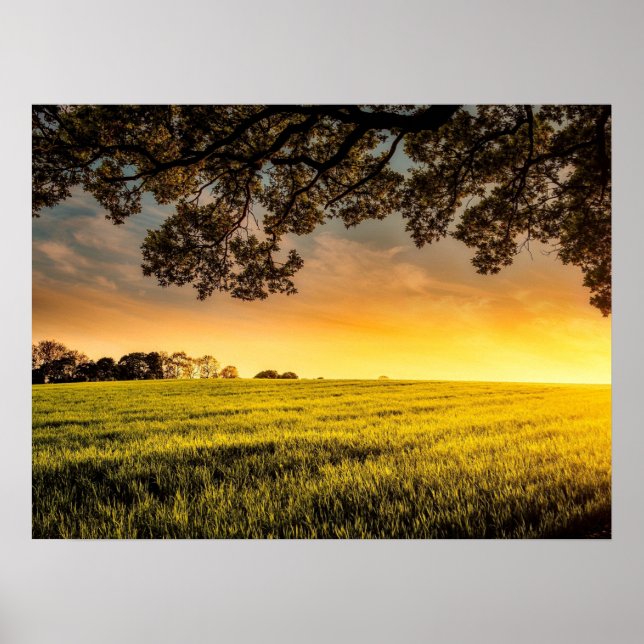 Póster Atardecer en un Poster paisajista rural (Frente)