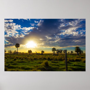 Póster Atardecer en un rancho de Florida