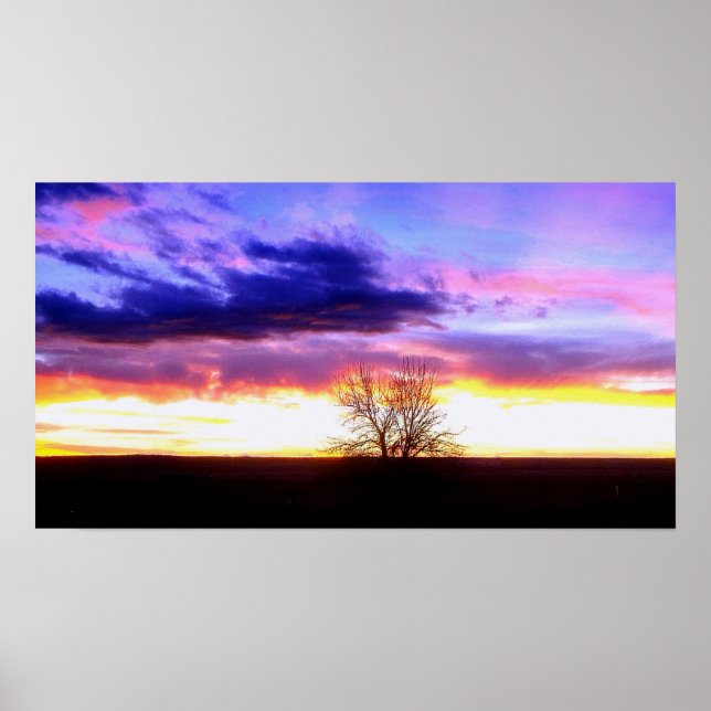 Póster Atardecer más allá del Árbol_ (Frente)