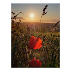 Póster Atardecer nebuloso sobre adornos rojos en el campo
