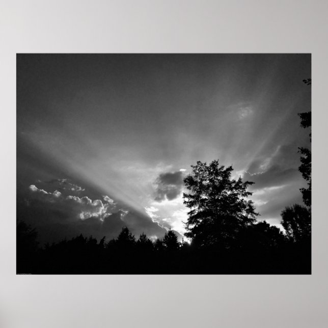 Póster Atardecer/Noir, (Frente)