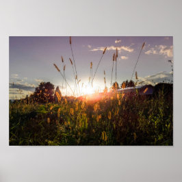 Póster Atardecer romántico en los campos (Graz, Austria)