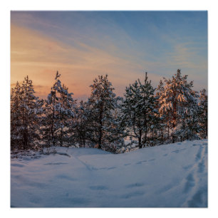 Póster Atardecer sobre bosque de nieve congelado cerca de