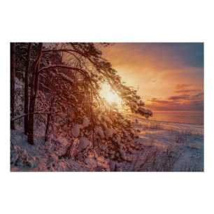 Póster Atardecer sobre el mar y el pino nevado