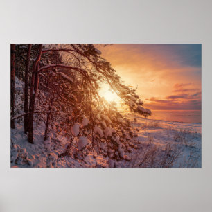 Póster Atardecer sobre el mar y el pino nevado