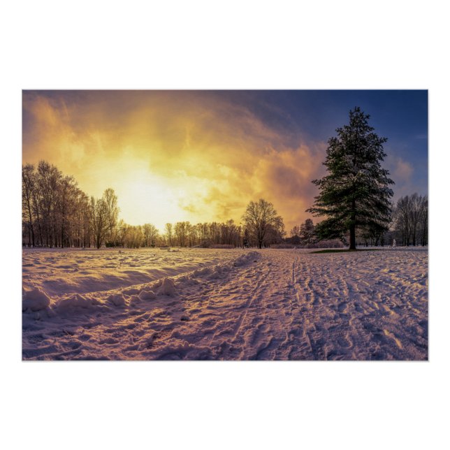 Póster Atardecer sobre el nevado parque invernal (Anverso)