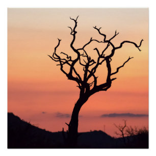 Póster Atardecer sobre Madikwe