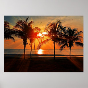 Póster Atardecer Tropical