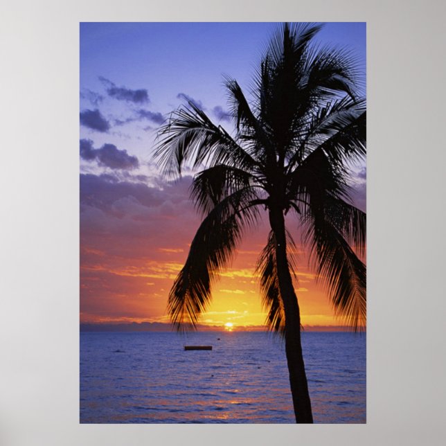 Póster Atardecer tropical con palmera (Frente)
