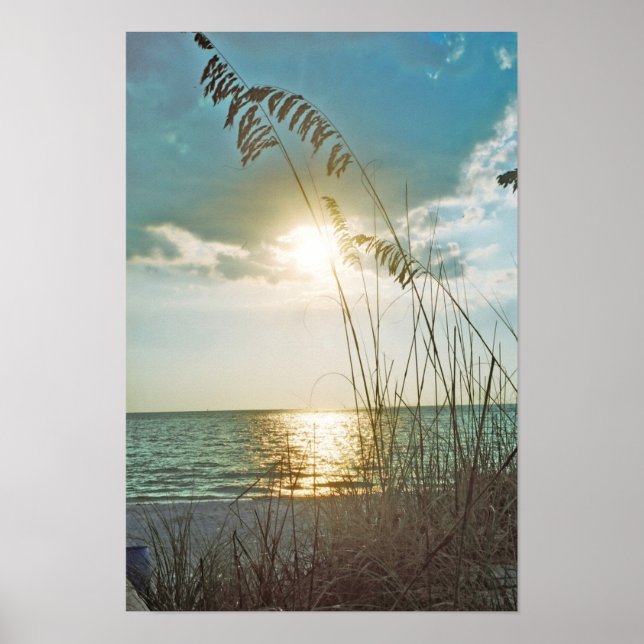 Póster Atardecer y avena marina (Frente)