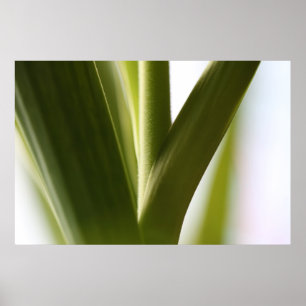 Póster Atención al cliente