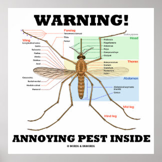 Póster ¡Atención! Annoying Pest Inside (Anatomía de Mosqu