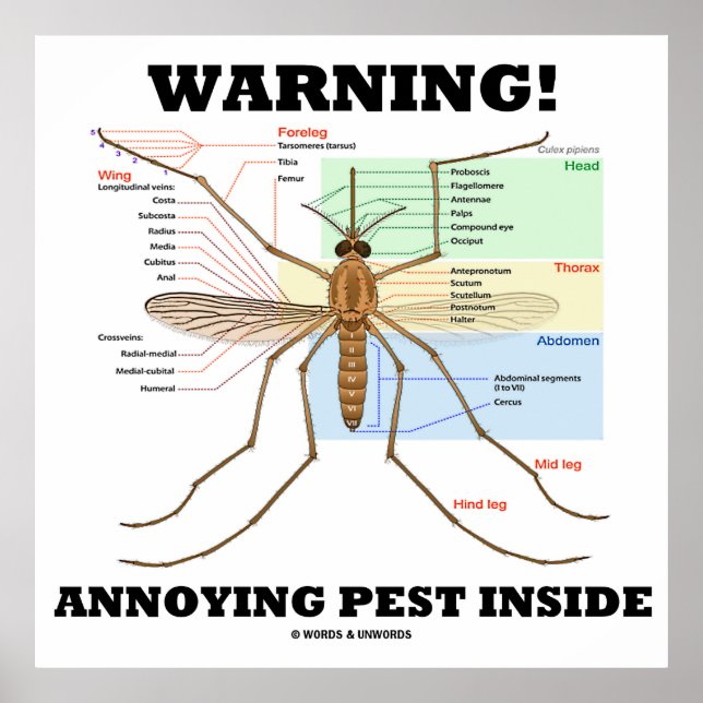 Póster ¡Atención! Annoying Pest Inside (Anatomía de Mosqu (Frente)