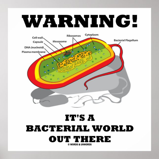 Póster ¡Atención! Es un mundo bacteriano (Frente)