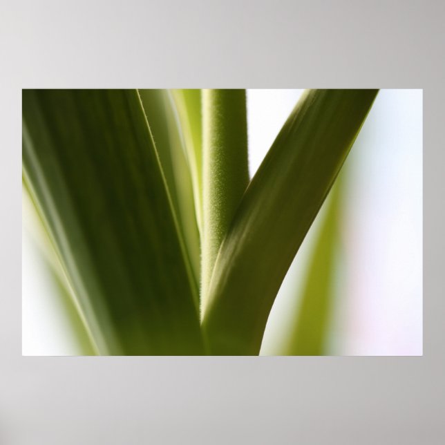 Póster Atención especial en soporte (Frente)