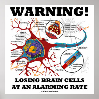Póster ¡Atención! Pérdida De Células Cerebrales A Un Ritm
