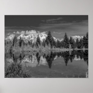 Póster Aterrizaje de Schwabacher