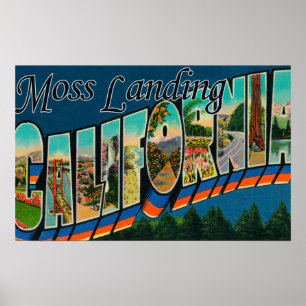 Póster Aterrizaje del musgo, California - escenas grandes
