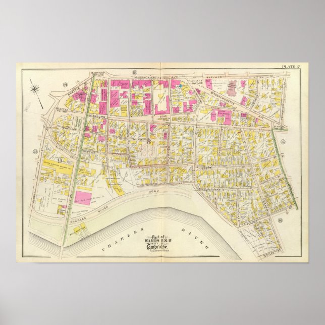 Póster Atlas de Cambridge 11 (Frente)