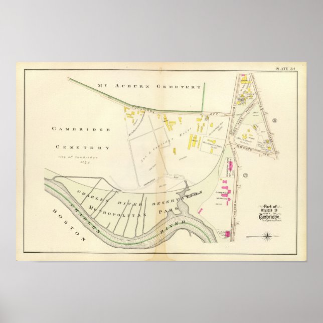 Póster Atlas de Cambridge 13 (Frente)
